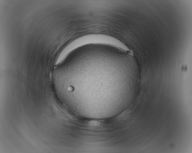 X0000110680176200907021919