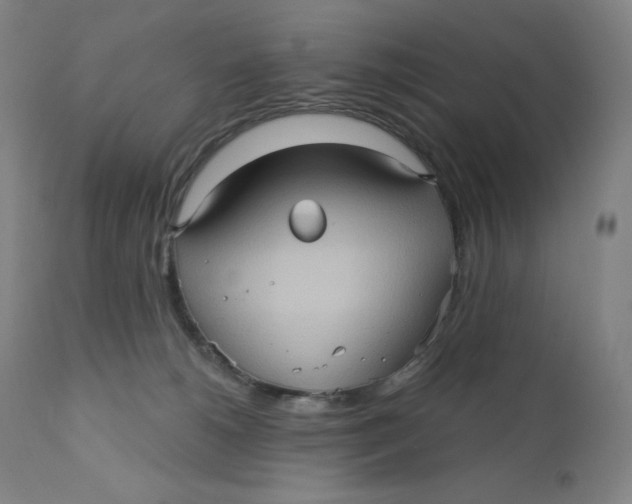 X0000110680180200907021919