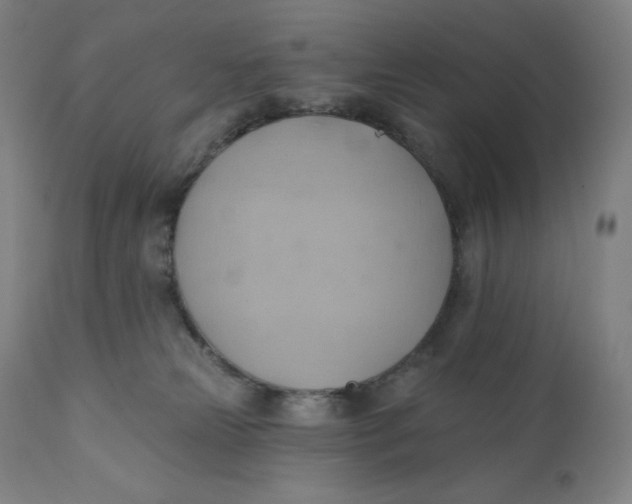 X0000110680181200907021919