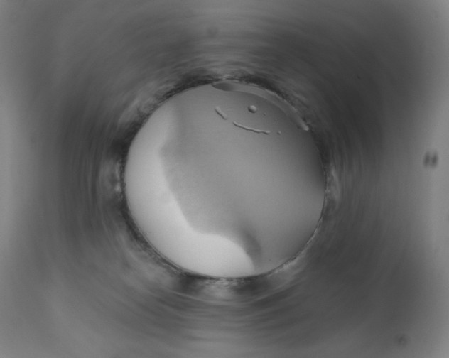 X0000110680182200907021919