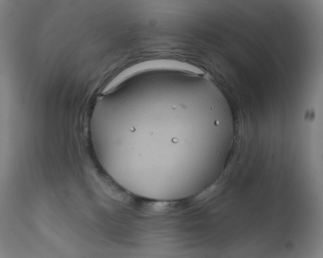 X0000110680184200907021919