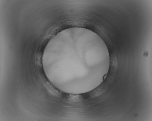 X0000110680185200907021919