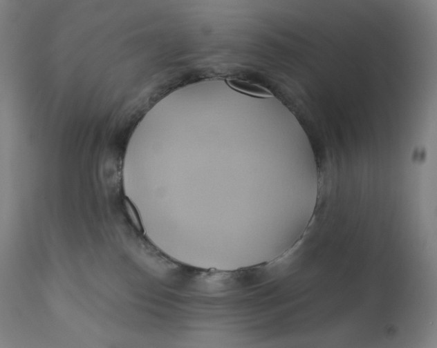 X0000110680186200907021919