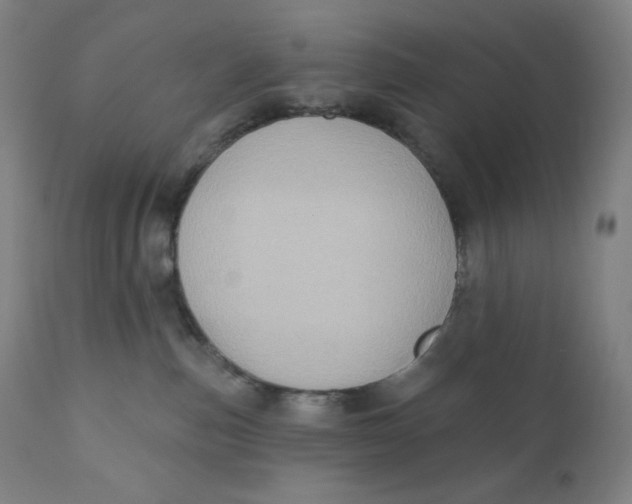 X0000110680187200907021919