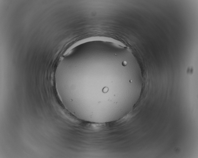 X0000110680188200907021919