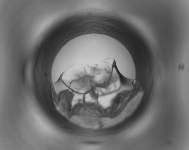 X0000110680189200907021919