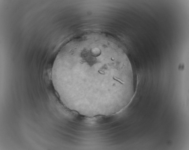 X0000110680190200907021919