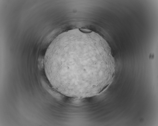 X0000110680191200907021919