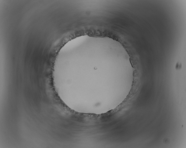 X0000110680192200907021919