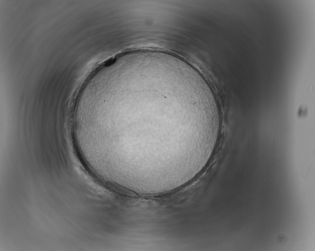X0000110680193200907021918