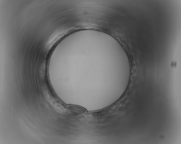 X0000110680194200907021918