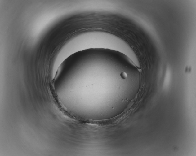 X0000110680195200907021918