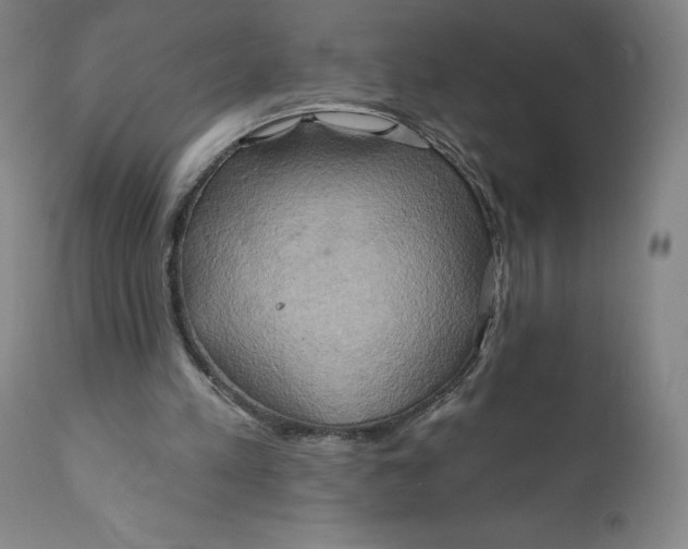 X0000110680197200907021918