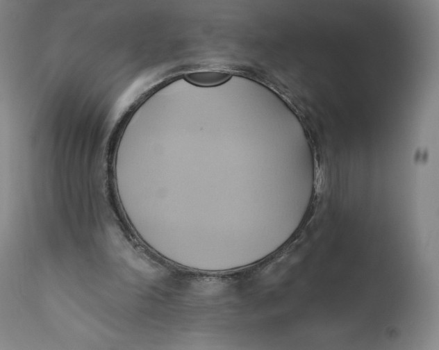 X0000110680198200907021918