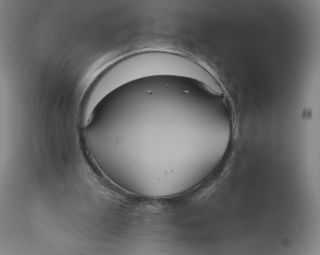 X0000110680199200907021918