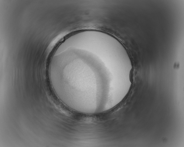 X0000110680200200907021918