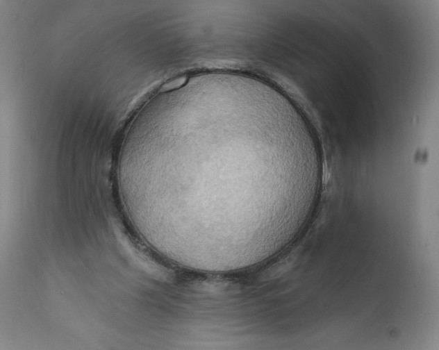 X0000110680201200907021918