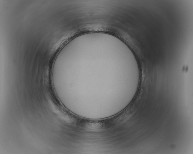 X0000110680202200907021918