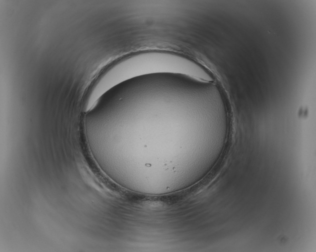 X0000110680203200907021918