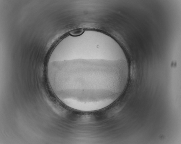 X0000110680204200907021918