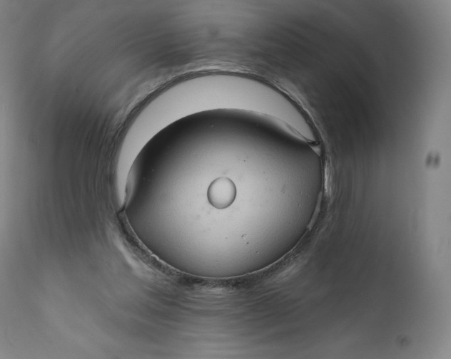 X0000110680205200907021918