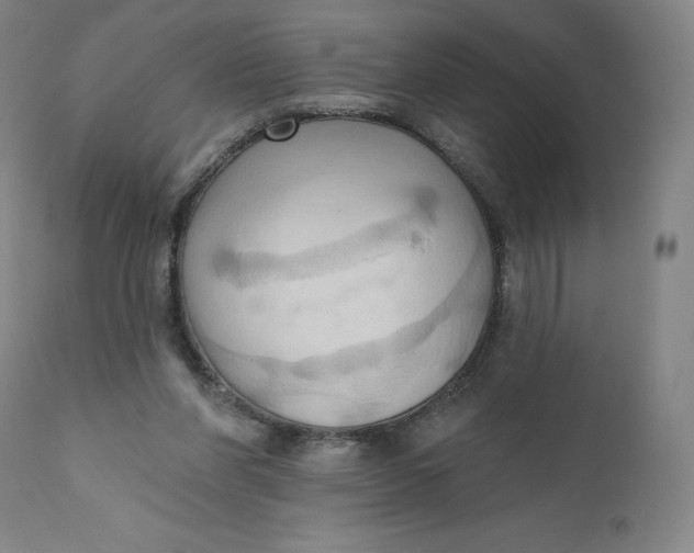 X0000110680206200907021918