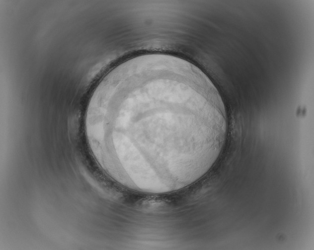 X0000110680208200907021918