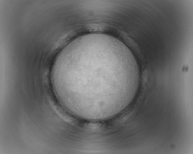X0000110680209200907021918