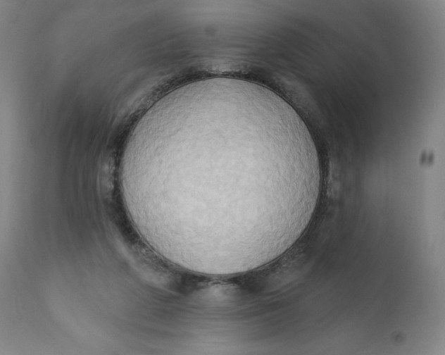 X0000110680210200907021918