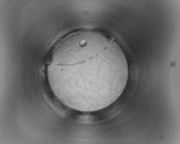 X0000110680212200907021918