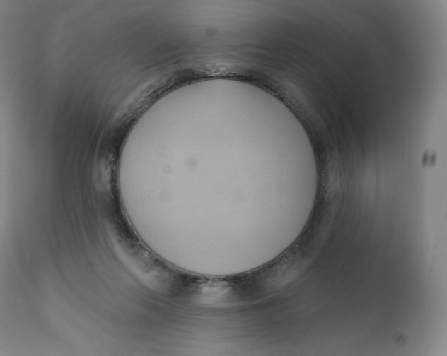 X0000110680214200907021918