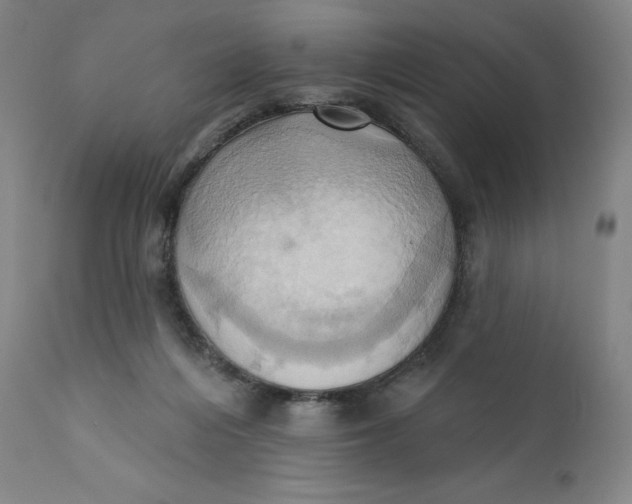 X0000110680216200907021918