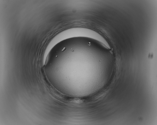 X0000110680217200907021918