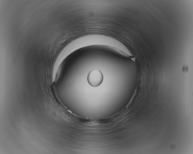X0000110680219200907021918