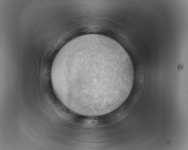 X0000110680220200907021918