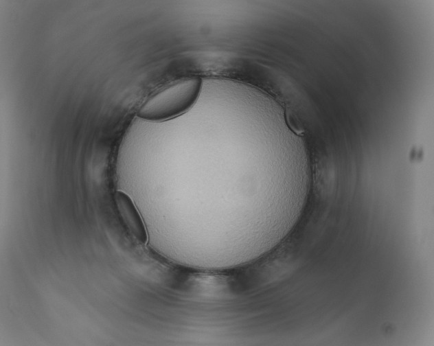 X0000110680221200907021918