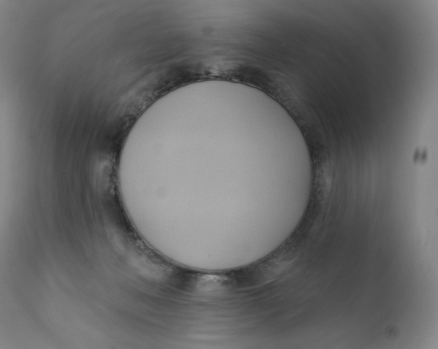 X0000110680222200907021918