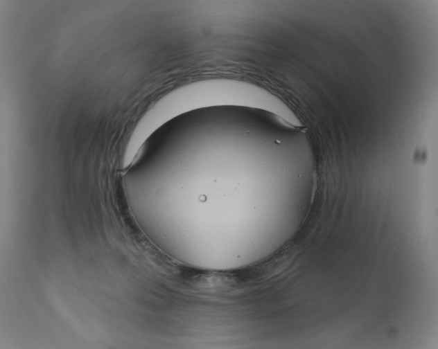 X0000110680223200907021918