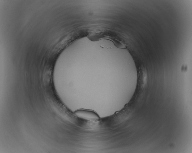 X0000110680227200907021918