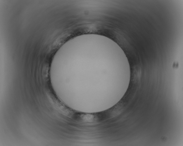 X0000110680230200907021918