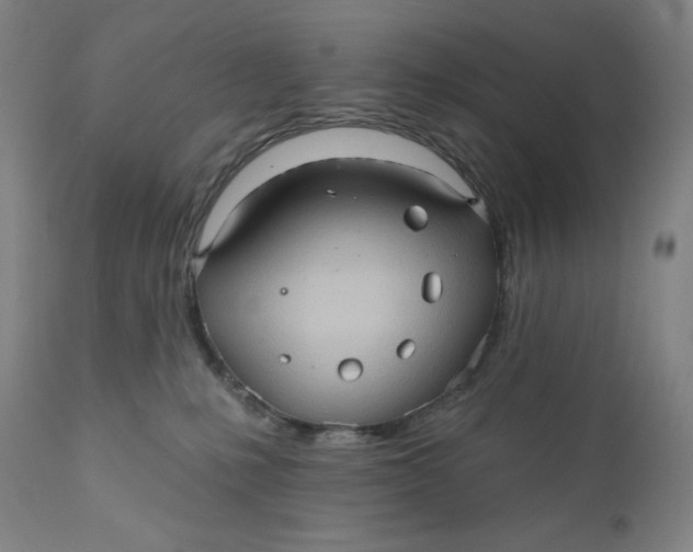 X0000110680231200907021918