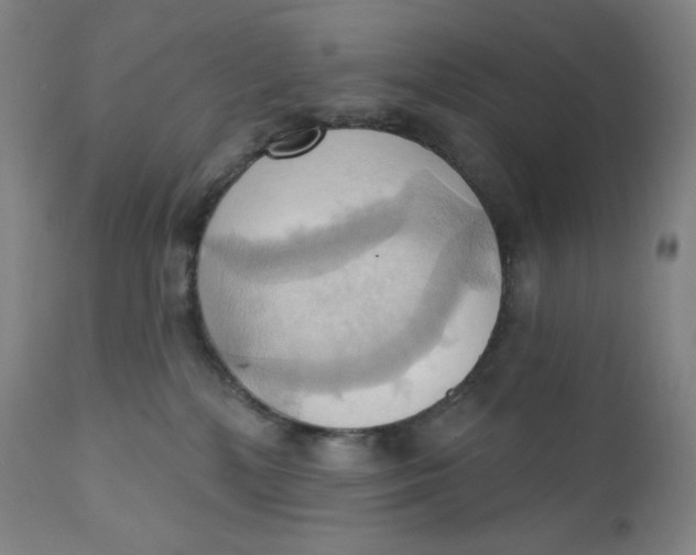 X0000110680232200907021918