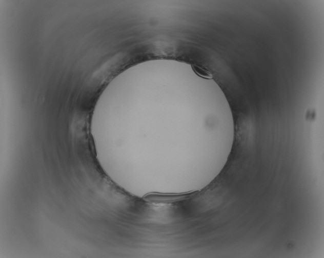 X0000110680233200907021918