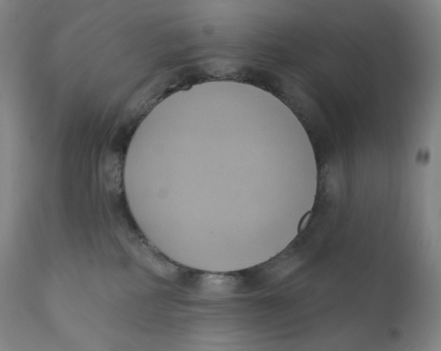 X0000110680234200907021918