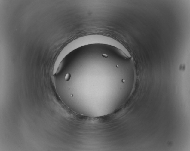 X0000110680235200907021918
