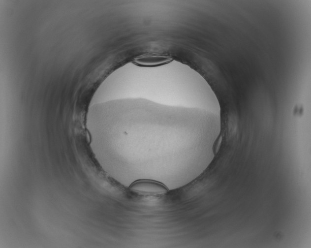 X0000110680236200907021918