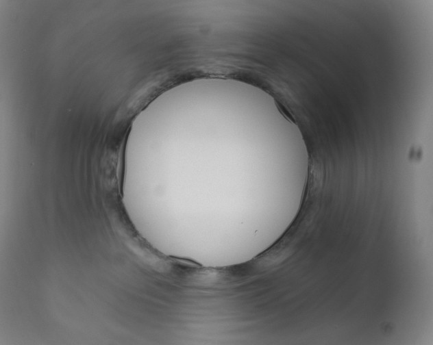 X0000110680237200907021918