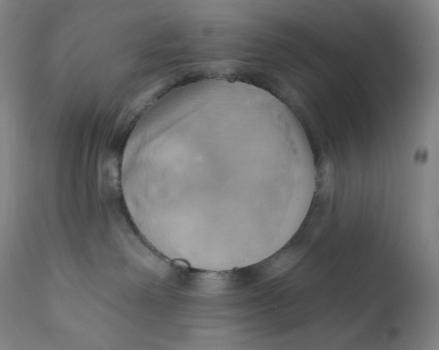 X0000110680238200907021918
