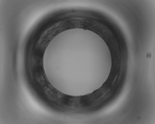 X0000110680239200907021917