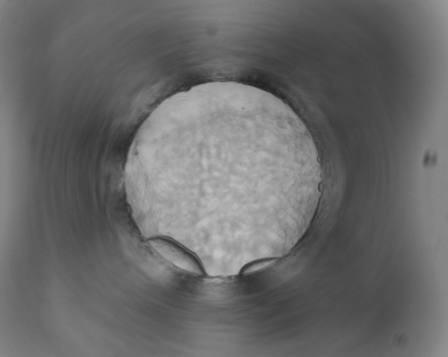 X0000110680240200907021917